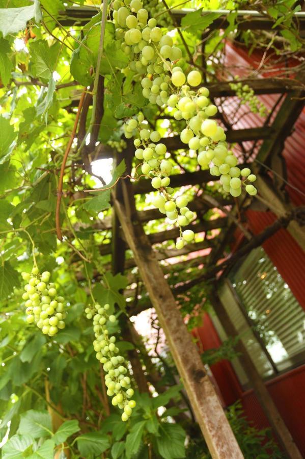 Grapehouse Koenji Hostel Tokió Kültér fotó